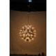 JK049 Taraxacum 88